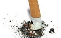 Un robot peluche pour réconforter les patients