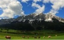 Crise des ordures et affrontements dans les rues et actus Europe