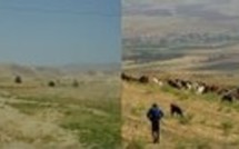 L'actualité du 31/10/05