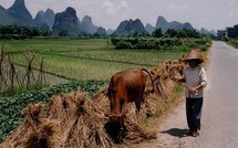 David Cameron en visite en Chine et infos monde