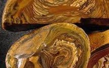 Barack Obama soutient la candidature de l'Inde au Conseil de sécurité et actus Monde