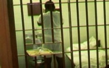 L'actualité du 03/11/2005