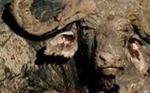 Nicolas Sarkozy conclut la séquence de la réforme des retraites et infos France