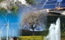 Airbus lance une nouvelle version de l'A320 et infos Economie