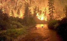 Israël: le Carmel brûle toujours et infos Moyen Orient