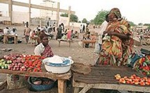 L'actualité du 15/11/05