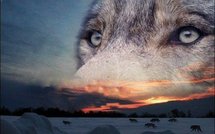 Moyen Orient: Israël critique l'Argentine le Brésil et l'Uruguay et autres news