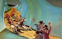 Egypte: réouverture de certaines plages de la mer Rouge  et actus Afrique