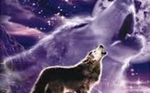 Irlande: le budget d'austérité le plus sévère de l'histoire du pays et news Monde