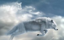 La France juge la dictature Pinochet à Paris et autres actus