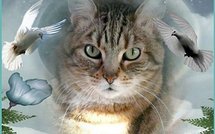 Grèce: manifestations et grèves contre la rigueur et infos Europe