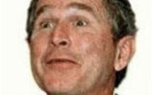 L'actualité du 22/11/05