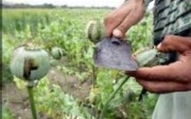 L'actualité du 24/11/05