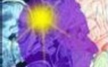 Santé: maladie de Parkinson