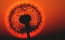 Europe: éclipse partielle de soleil visible ce mardi matin et autres actus