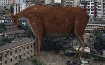 Intervention de police au Blanc-Mesnil après la mort d'un DJ et actus France