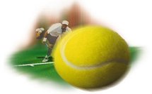 Football: Stuttgart se sépare de l'Italien Camoranesi et news Sport