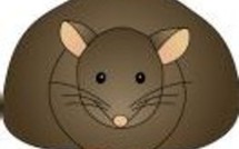 Actualités Internationales