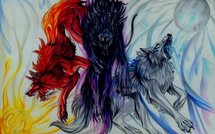 Politique: les loups sont de retour et autres infos