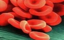 Santé: nouvel espoir dans la lutte contre la leucémie