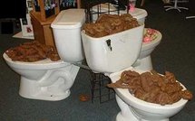 La marée noire pèse toujours et autres actus