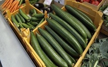 Actu Santé: concombres contaminés, sex-toys et autres news