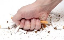 Santé: Journée Mondiale Sans Tabac