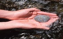 Santé: magnétothérapie ou comment se soigner avec des aimants et autres infos