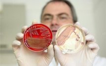 Santé: L'Allemagne admet des erreurs sur la bactérie et autres actus