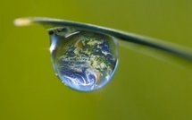 Environnement: Les JT s'en désintéressent et autres actus