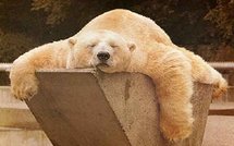 Une bonne nuit, c'est 6 et 9 heures de sommeil et autres infos santé