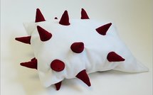 Santé: Votre oreiller, un nid à microbes et autres infos