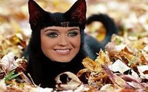 Katy Perry hypnotise ses chats
