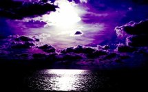 Santé: Cueillons de la mauve