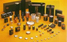 Ecoloroïde et les abeilles