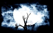 La nature n'est pas pure