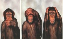 Non assistance à personne en danger