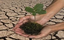 L'environnement à la mode