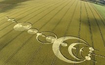 Du séisme et du scotch