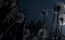 L'Europe bousculée par la crise de la dette