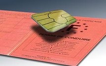 Nouveau permis de conduire et valise geek