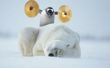 Le Monde en surgelés