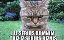 Coup de volant et ritournelle