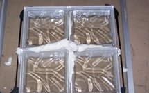 Le monde fait de brique