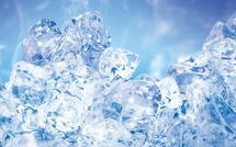 Les procès à la française