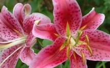 Europe: profonde nuit d'hiver