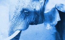 Malta news: Pn calls on Debono to resign