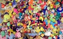 Faits-divers: un boa égaré