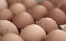 Europe: les lois du chaos