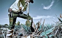 Europe: protectorat Grec, prudence russe